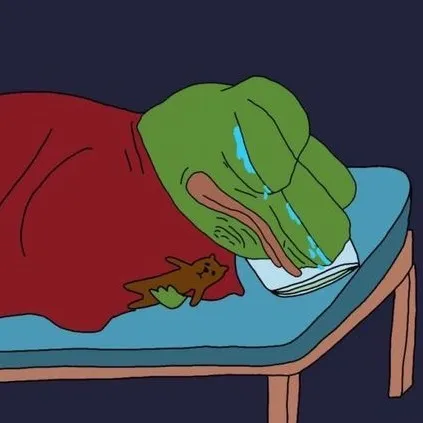 ếch học sư phạm 🐸