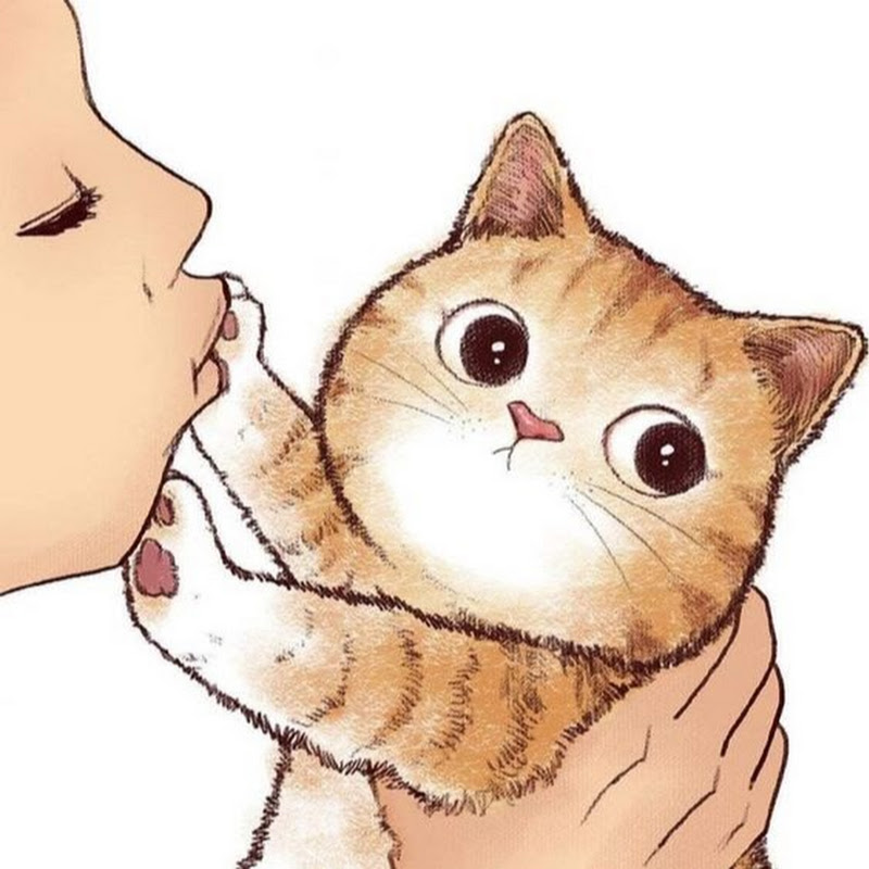 The Cutest