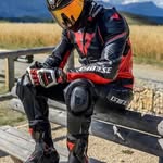 Leatherinsta
