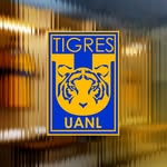 🇺🇦 Club Tigres  8️⃣🏆