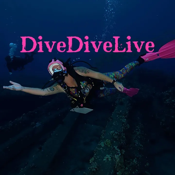 DiveDiveLIVE