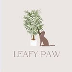 Leafy Paw | Home of Pet-friendly plants