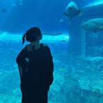 ࿎ 𝓳𝓮𝓶 ࿎