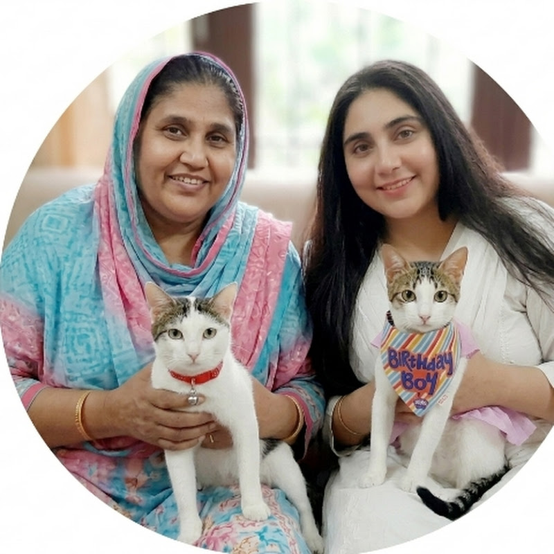 Sitara Family Vlogs