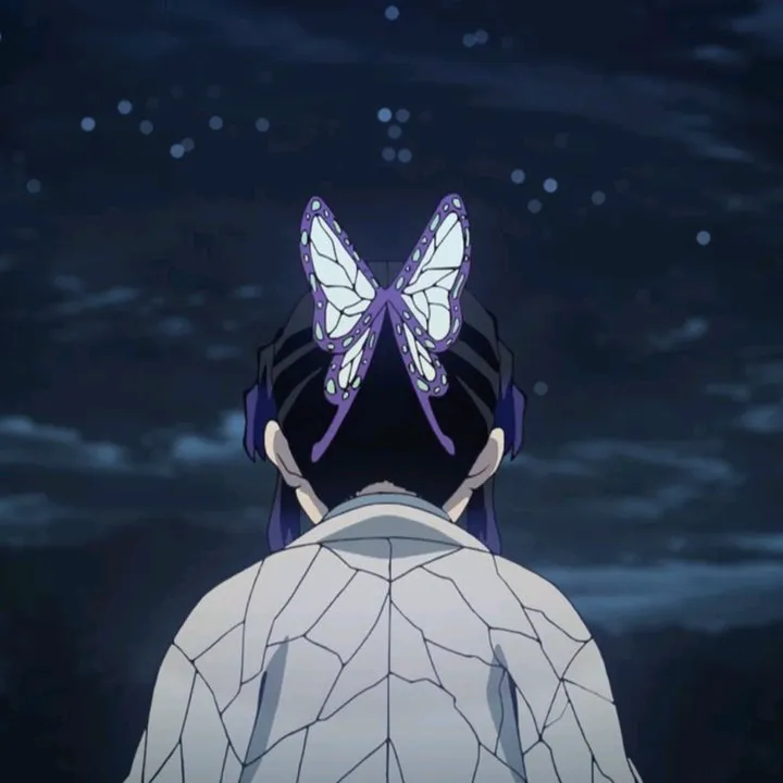 ✧𝒮𝒽𝒾𝓃ℴ𝒷𝓊 𝓀ℴ𝒸𝒽ℴ ♱