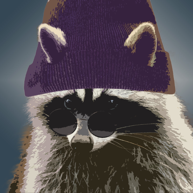 ShaggyRaccoon