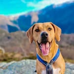 🤎ＭＲ. ＢＥＬＬＡＭＹ (ᴀᴅᴍɪʀᴀʟ)