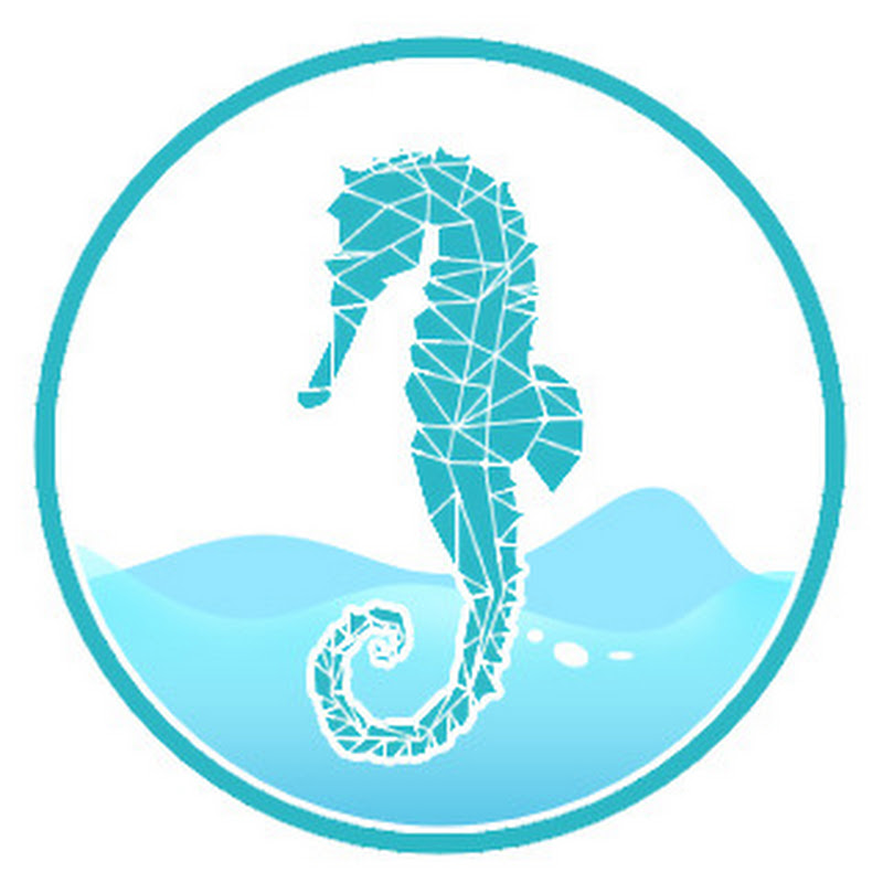 Ocean Explorers