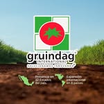 Gruindag International