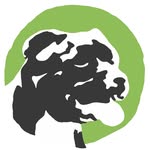 Discover Dogs