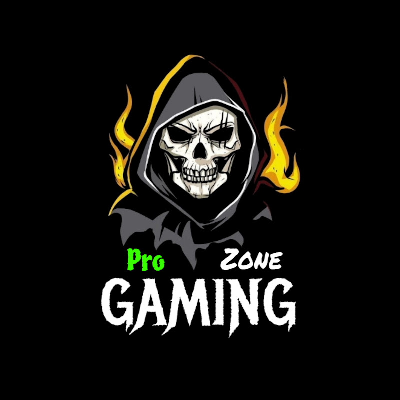 Pro Gaming Zone 