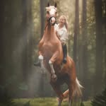 ✨ єllєи & cץвαяα ✨