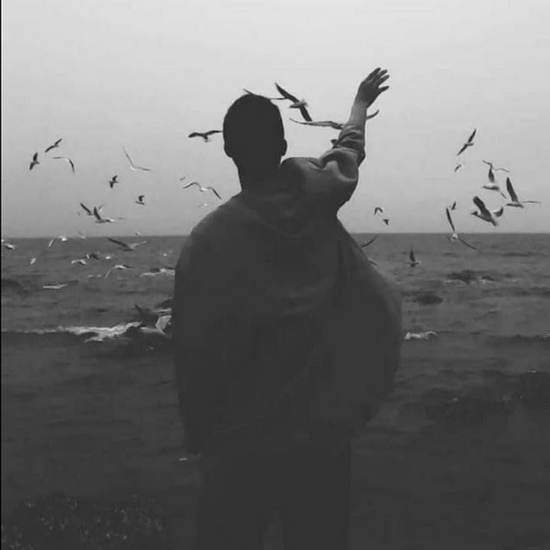 music song 