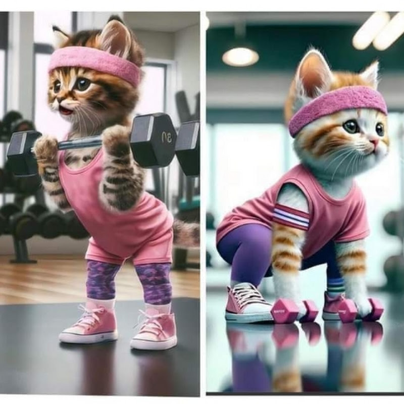 10 min workout with Big samooha 