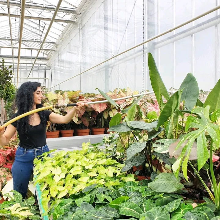 CasaBotanica - Greenhouse🌿