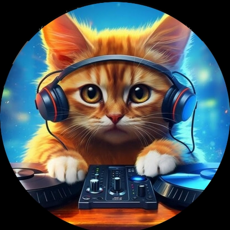 Dj Sanaol Remix