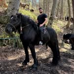 Sarmis Willdoit
