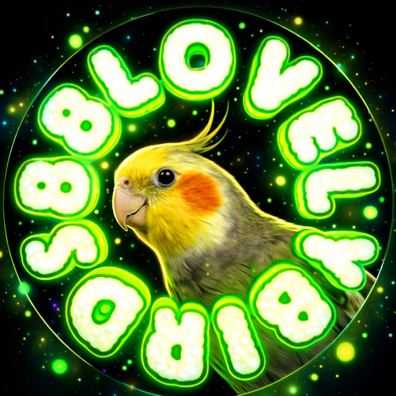 88LovelyBirds88