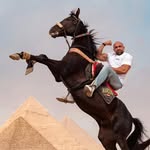 Hassan Gabr - The Gorilla