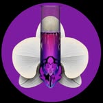 Dr.TWL Dermaceuticals