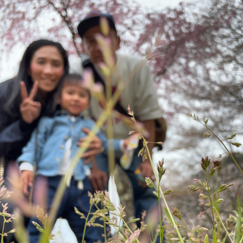 JAPAN LIFE