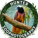 #hunter_zoophotography
