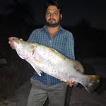 mumbai fishing king 👑