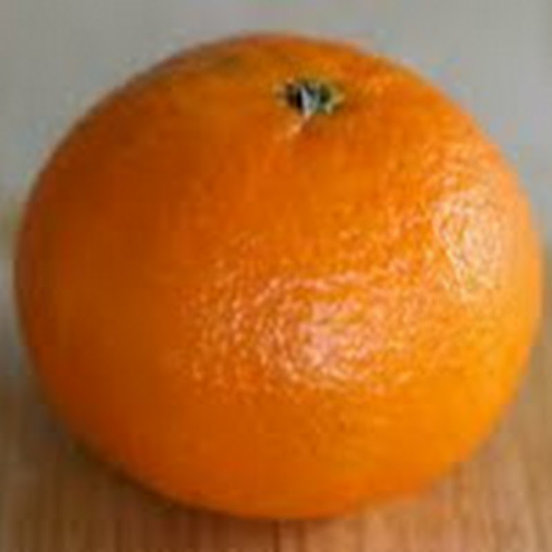 LifeHack Orange
