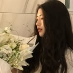 iris 아이리스