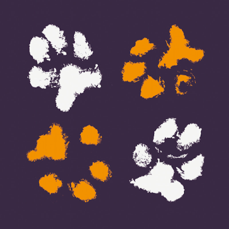 Dogs 4 Rescue