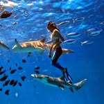 María Knarish ✩ Marine Biologists