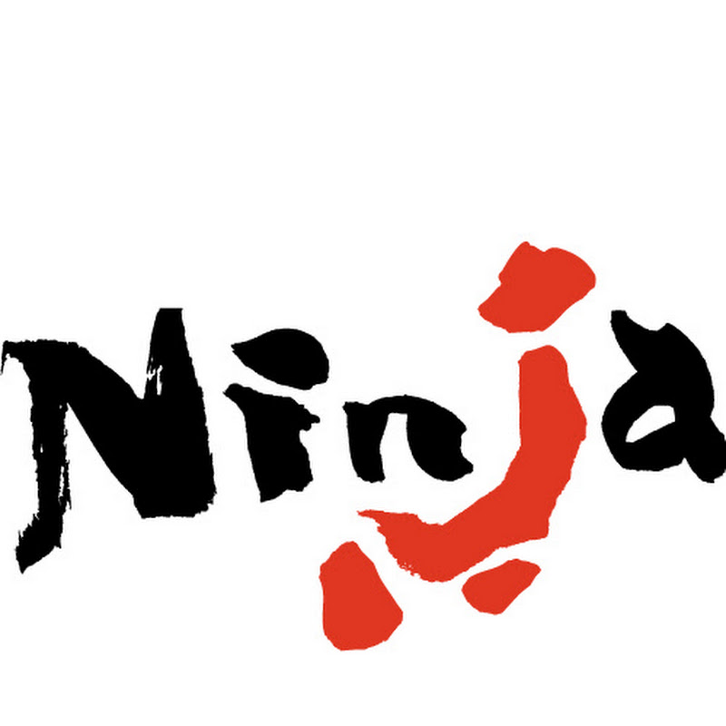 Ninja Painters