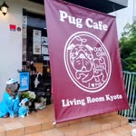 🌟PugCafe livingroom in Kyoto🇯🇵