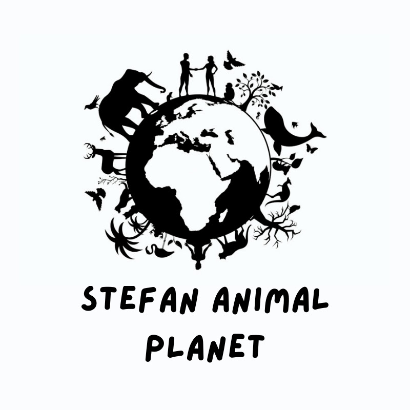 Stefan Animal Planet