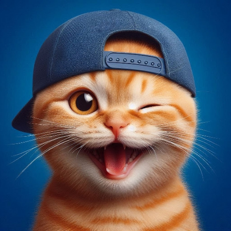 Apucat