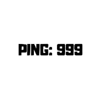 PingMan999