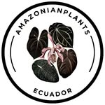 Amazonian Plants Ecuador