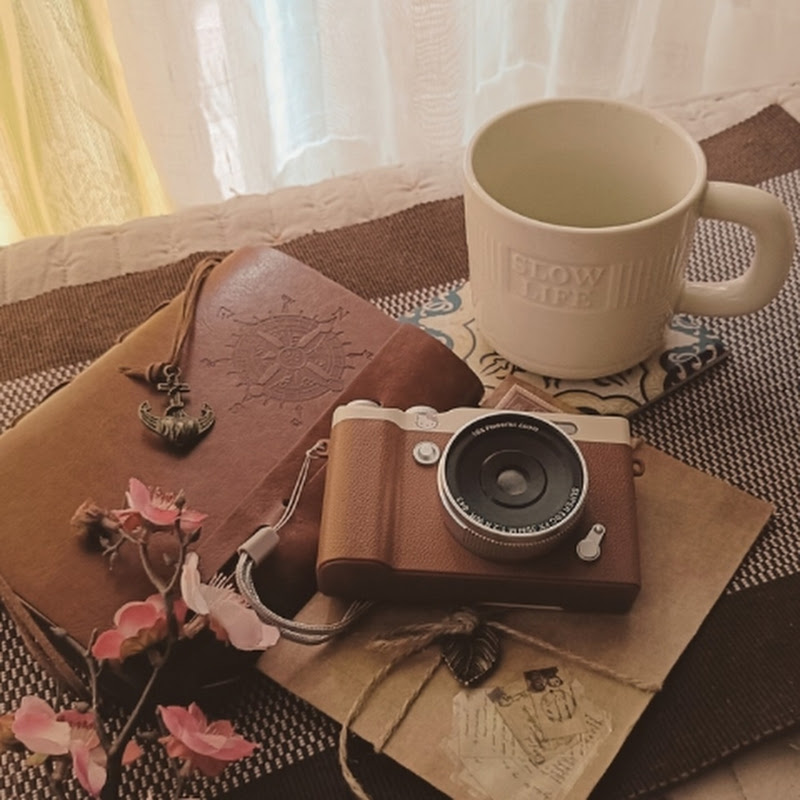 slow life diaries 🌿