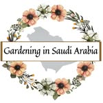 Gardener  | Hydroponics | Planter in a Desert - Sana bint Ayub