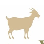 Cápsulas de Café Velásquez Vélez