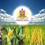 Prabhat Agri Biotech Limited