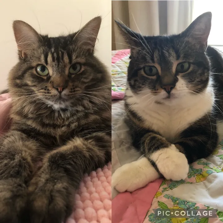 Maia and Chloe