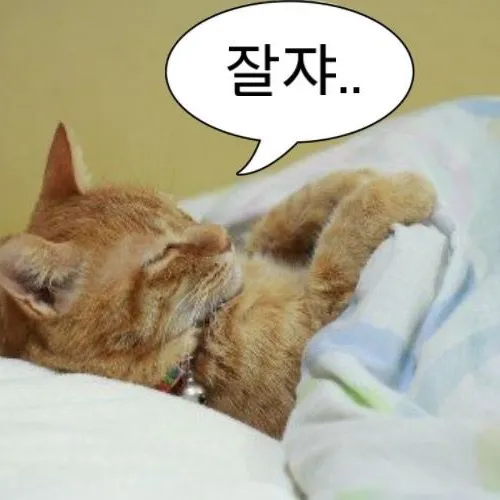 밧스연