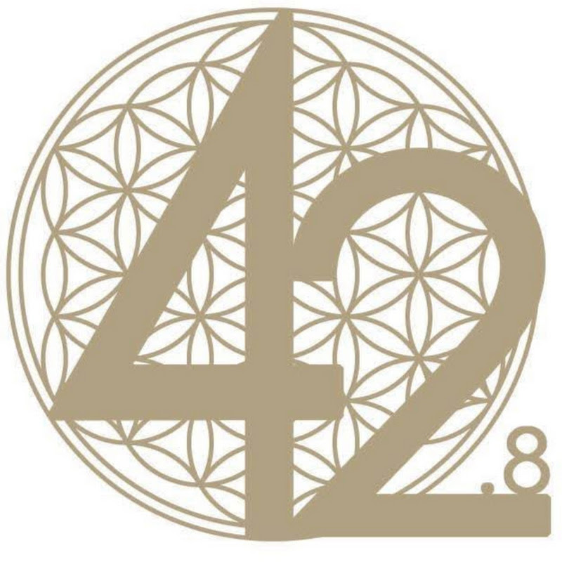 42.8兔子飛船