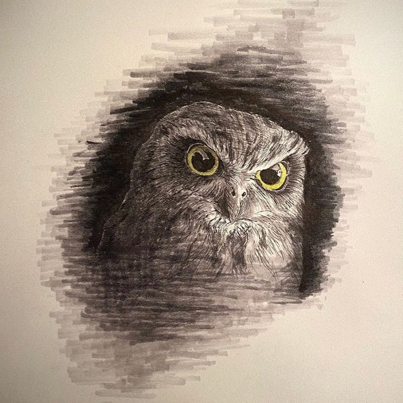 Owl Life with Ranzu