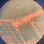 Shih Wei Chieh / 施 惟 捷