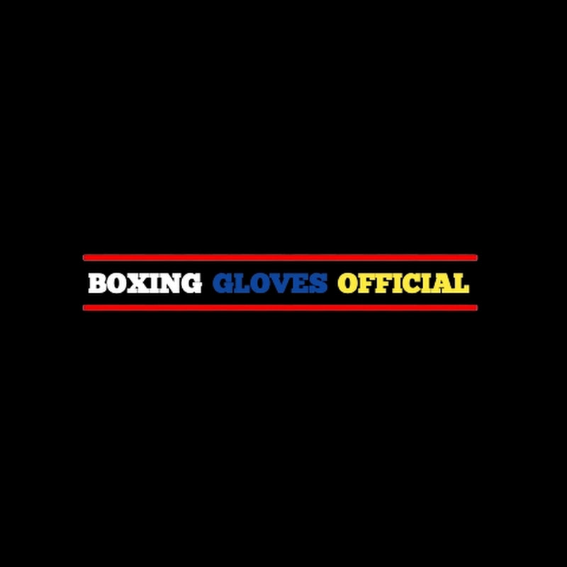 Boxing Gloves Official 