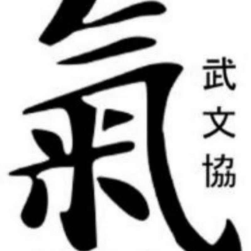 Wushu Culture Association WCA 武術文化協會