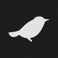 Saturnbird