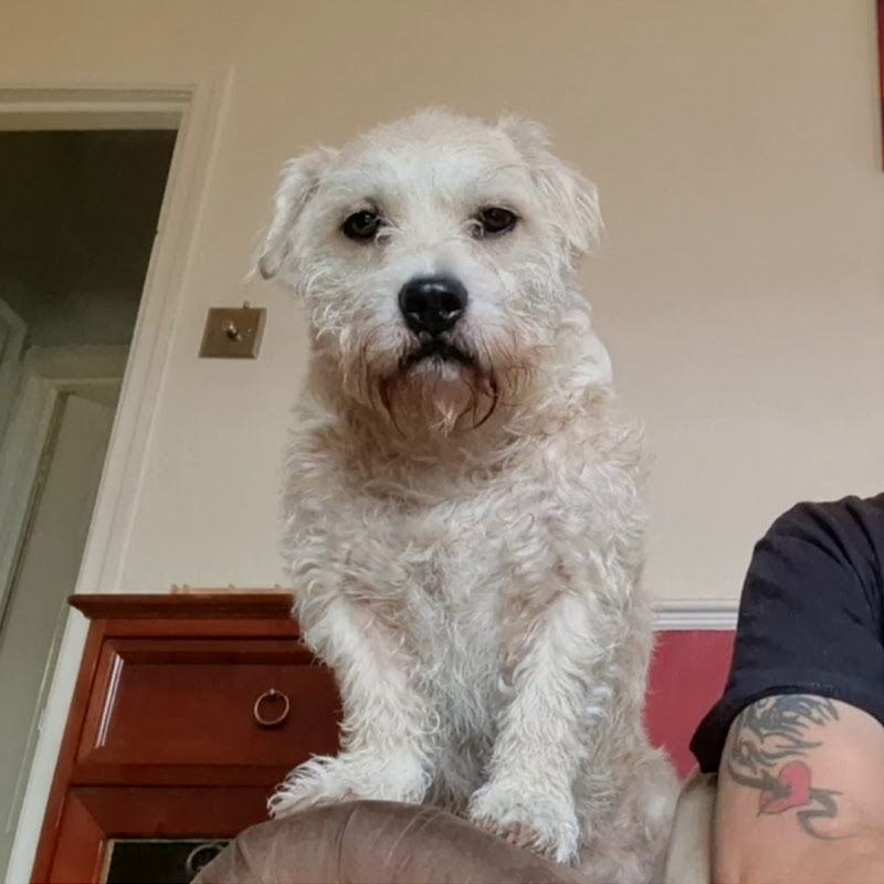 Deefa Dog and Dad